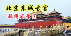 啊啊啊啊大鸡吧啊啊啊在线观看中国北京-东城古宫旅游风景区